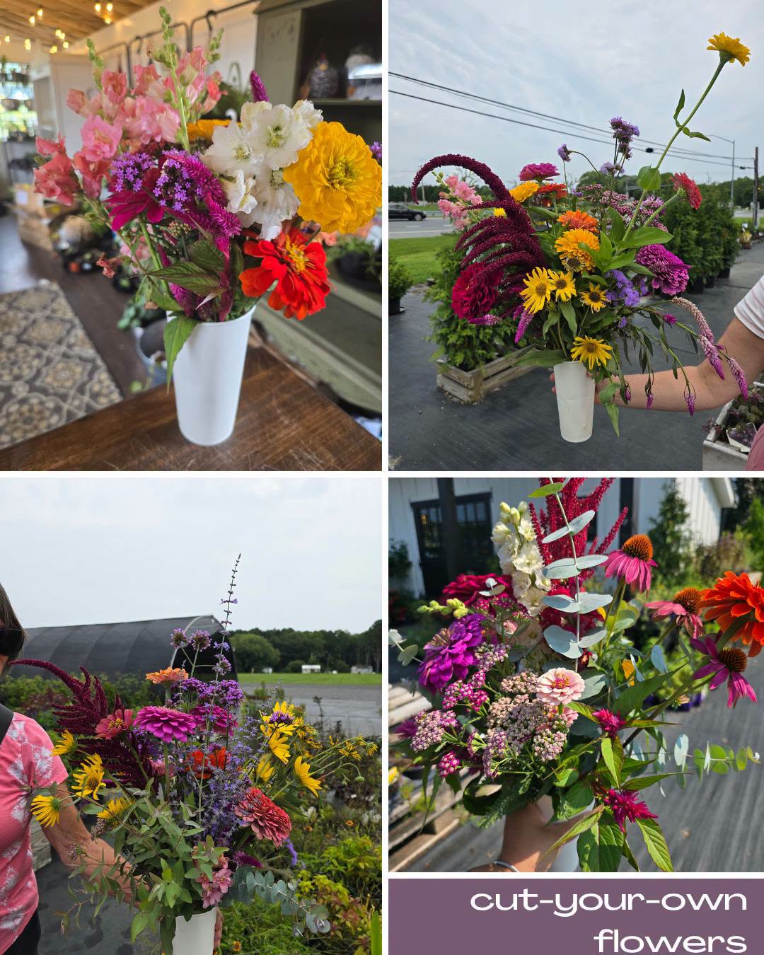 Cut Your Own Flowers Potager Garden Standard Flower Cup
