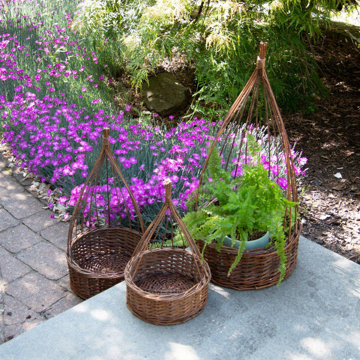 Medium Willow Obelisk Planter
