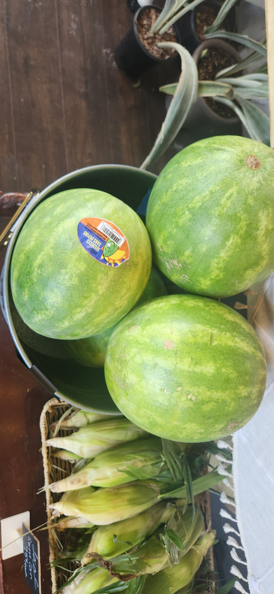 F Small Seedless Watermelon