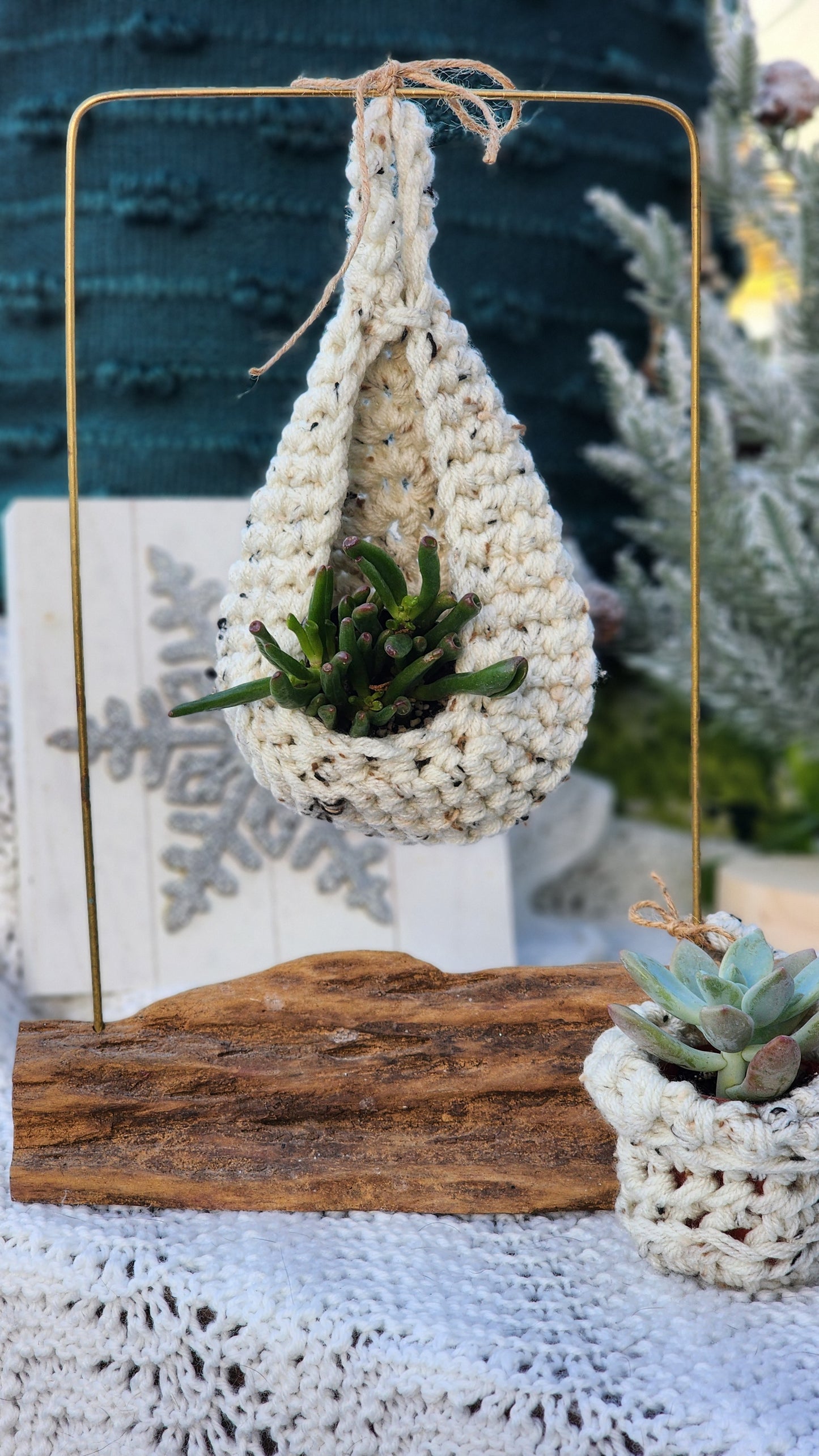 Teardrop Plant Hanger