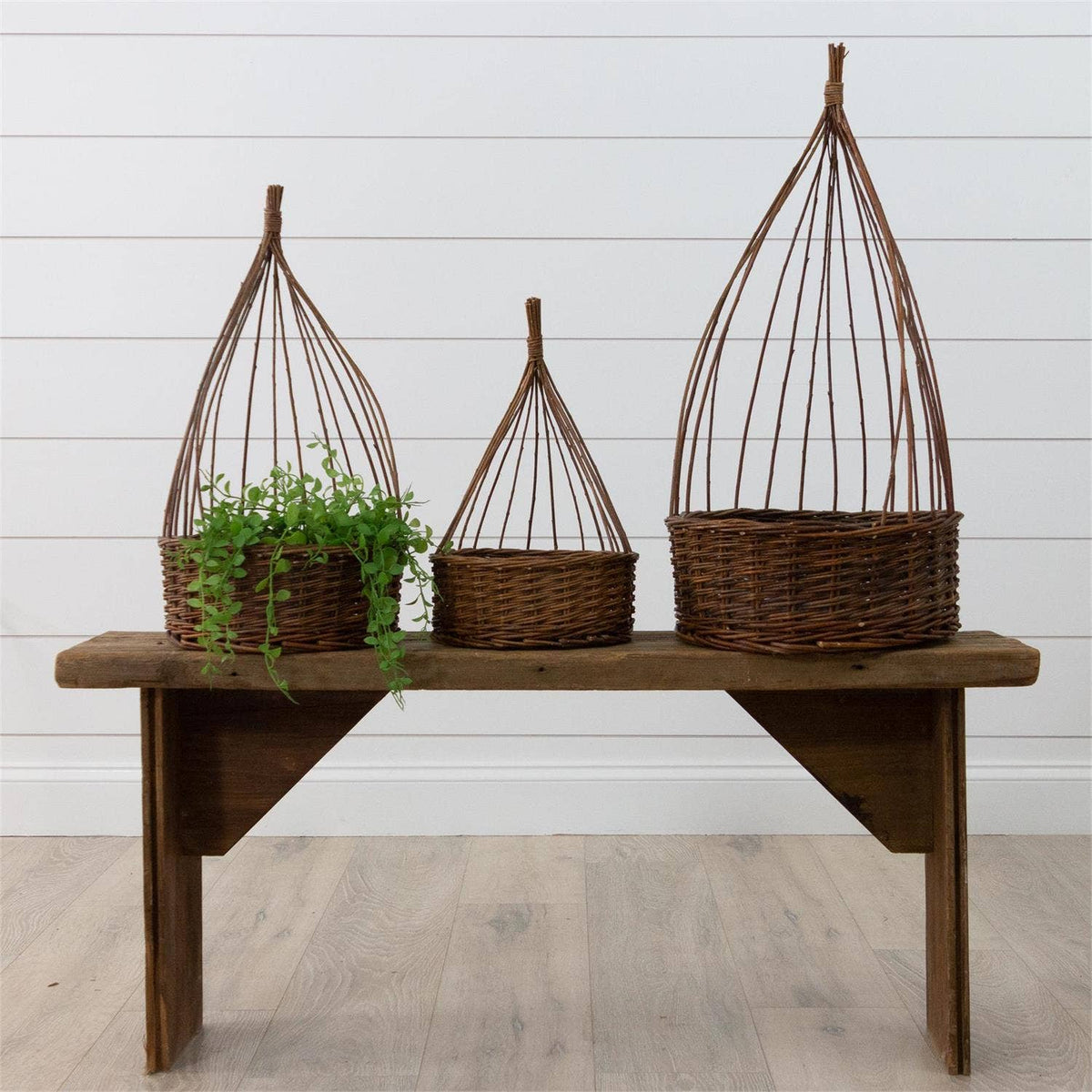 Medium Willow Obelisk Planter