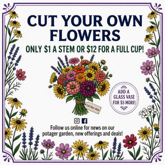 Cut Your Own Flowers Potager Garden Standard Flower Cup